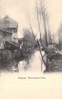 BELGIQUE - TONGRES - Promenade D'Ovée - Carte Postale Ancienne - Tongeren