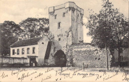 BELGIQUE - TONGRES - La Porte De Visé - Carte Postale Ancienne - Tongeren