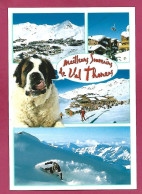 Val Thorens (Les Belleville 73) Télésiège Snowboard Skieur Chien Saint-bernard 2scans - Val Thorens