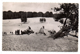 ERMENONVILLE--1955--La Mer De Sable Et Les Rochers (animée)....timbres.. Retour D'Allemagne...griffes - Ermenonville