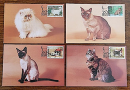 VENDA Chats, Chat, Cats, Pets, Gatos, Yvert N° 249/52 FDC, Cartes Maximums. Série Complète - Gatos Domésticos