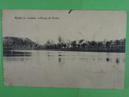 Rhode St-Genèse L'Etang De Pêche - St-Genesius-Rode