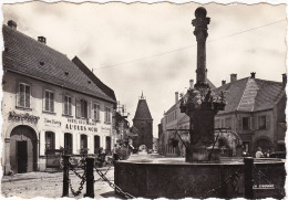 MUTZIG: Vieille Fontaine Et Porte Saint Maurice,  Hôtel " A L'OURS NOIR " - Mutzig