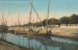 4900 62 Ismailia, On The Banks Of The Canal Of The Sweet Waters. 1921. (See Corners) - Ismailia