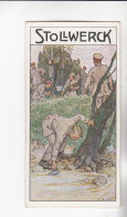 Stollwerck Album No 15 Jugendwehr Im Lager   Grp 558#5 Von 1915 - Stollwerck