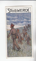 Stollwerck Album No 15 Jugendwehr Ausgeschwärmt  Grp 559#3 Von 1915 - Stollwerck