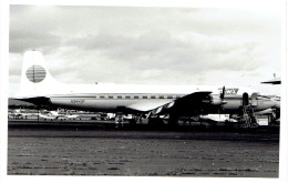 DHL - Douglas DC-6  (N3443F) - Luftfahrt