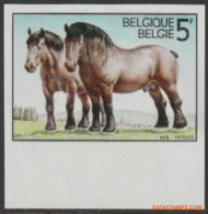 België 1976 - Mi:1862, Yv:1805, OBP:1810, Stamp - □ - Ardens Trekpaard  - 1961-1980