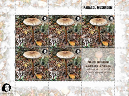 Finland 2021 Parasol Mushroom A Delicacy Of Gastronomy Peterspost Sheetlet Of 5 Stamps And Label Mint - Blokken & Velletjes