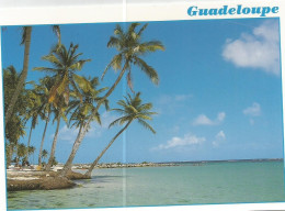 CPM Guadeloupe Plage Ste Anne - Autres & Non Classés