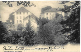 VAUD HENNIEZ LES BAINS Broye-Vully - A. Dénéréaz-Spengler, édit., Lausanne No 3592 - Circulé Le 23.08.1904 - Henniez