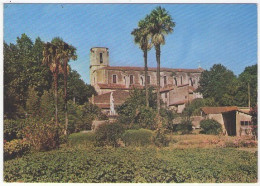 GF (83) 083, Lorgues, SEF 15602, La Collégiale Vue Du Jardin De Notre Dame - Lorgues