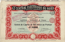 - Titre De 1905 - Le Central Electrique Du Nord Société Anonyme - N° 03116 - Elektriciteit En Gas