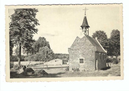 MEERHOUT  Kapel Ste Elisabeth Lil - Meerhout