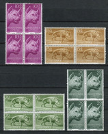 Sahara 1957. Edifil 142-45 X 4 ** MNH. - Sahara Español