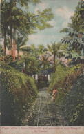 Sao Thome Guegue Tome Decauville Old African Guinea Postcard - Sao Tome En Principe