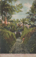 Sao Thome Guegue Tome Decauville Old African Guinea Postcard - Sao Tome Et Principe