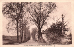 Ligny Le Châtel - Route De Pontigny - Ligny Le Chatel