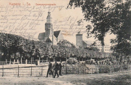 AK Kamenz I. Sa. - Dammpromenade - Feldpost 1915  (64687) - Kamenz