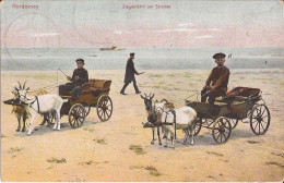 Allemagne - Norderney - Ziegenhirt Am Strandeleben Goat Cart Ziege - Norderney