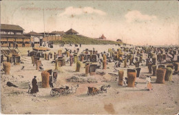 Allemagne - Norderney - Weststrand Goat Cart Ziege - Norderney