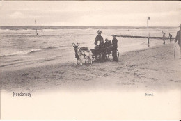 Allemagne - Norderney - Strand.goat Cart Ziege - Norderney