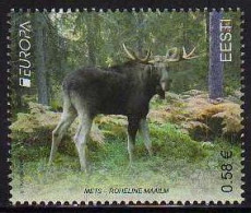 Ref. ET-V2011-04 ESTONIA 2011 - EUROPA - FLOREST - MOOSEMINT MNH, ANIMALS, FAUNA 1V - 2011