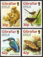 Ref. GI-794-97 GIBRALTAR 1999 - SET EUROPA FISHSBIRDS MONKEYS MI# 852-855 - MINT MNH, ANIMALS, FAUNA 4V Sc# 794-797 - 1999
