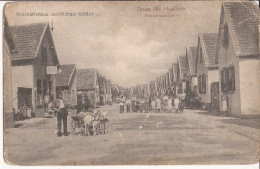 Allemagne - Hassloch - Gruss Aus - Strassenansicht - Geschaftshaus Von Michael Köbler Goat Cart Ziege - Hassloch