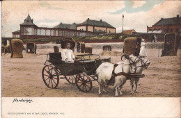 Allemagne - Norderney Goat Cart Ziege - Norderney