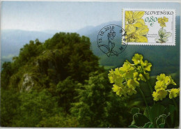 Slovakia  - 2010 Flowers From The Muranska Plain - Flora  -   Maximum Card - Cartas & Documentos