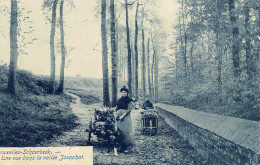 Schaerbeek Une Vue Dans La Vallée Josaphat  Attelage De Chien 1907 - Schaerbeek - Schaarbeek