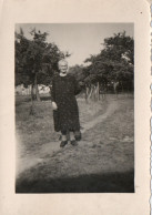 Ville - Pommreroeul ,  Juin 1947 - Bernissart