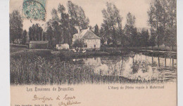 Cpa Watermael  étang Pêche  1906 - Watermaal-Bosvoorde - Watermael-Boitsfort