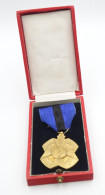 Militaria - MEDAL : Military Order Of Leopold 2 II Congo Medaille Eerste Klasse - Gold Plated - Belgium - Andere & Zonder Classificatie