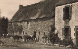 Carnac * La Ferme De Ker Lann * Agricole Agriculture Villageois Paysans Enfants - Carnac