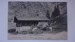 74 136 CHALET DE MONTAGNE EDIT PITTIER ANNECY 1902 - Andere & Zonder Classificatie