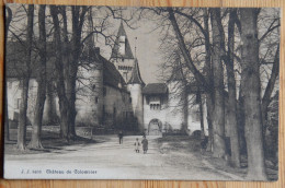 Château De Colombier - Animée : Petite Animation - (n°26794) - Colombier