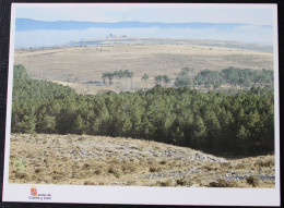 SORIA. Museo Numantino. Arqueología.N15 .Vista General De Numancia. - Soria