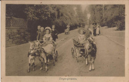 Allemagne - Friedrichroda - Ziegengespann Goat Cart - Friedrichroda