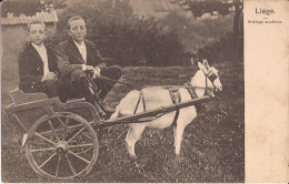 Belgique - Liège - Attelage Moderne  Goat Cart - Lüttich