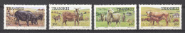 Transkei, 1987, Cattle, Farm Animals, MNH, Michel 210-213 - Transkei