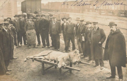 Le Coteau * Carte Photo 1906 * à La Gare , Un Lion Mort Transporté * Cirque Circus Chasse ? * Ligne Chemin De Fer Loire - Andere & Zonder Classificatie