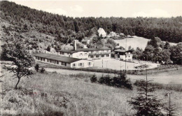 ALLEMAGNE - Frankenhain - Ferienheim " Junge Garde " Des Braunkohlenwerks Geiseltal-Mitte - Carte Postale Ancienne - Frankenhain