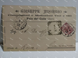 Vini E Olii Giuseppe Amoruso PALO DEL COLLE (Bari) A GUARCINO (Roma) 1902 - Magasins