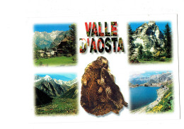 Cpm - Valle Aosta - Marmotte - 2005 - Lettre Alphabet Décorée - Aosta