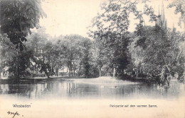 ALLEMAGNE - Wiesbaden - Parkpartie Auf Dem Warmen Damm - Carte Postale Ancienne - Wiesbaden