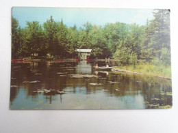 D196313    Adirondack Mountains   Sixth Lake-  New York Ca 1973 Sent To Hungary - Adirondack