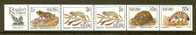 RSA 1996 MNH Stamps Readers Digest Strips SA964 #7006 - Usati