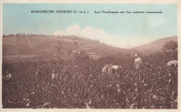 Romanèche Thorins * Les Vendanges Sur Les Coteaux Renommés * Vendangeurs Vignes Vin Vignoble Viticulteur - Autres & Non Classés